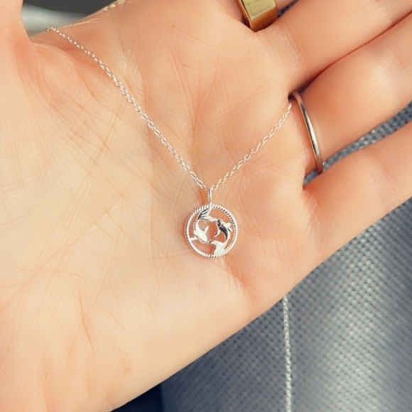 Sterling Silver Pisces Necklace - Picture 5 of 12